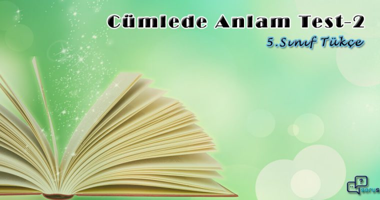 5. Sınıf Türkçe Cümlede Anlam Test-2