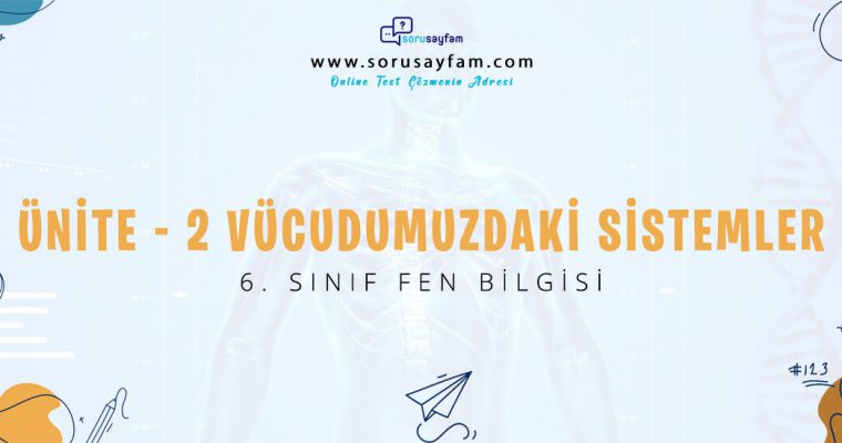 6. Sınıf Fen Bilgisi Ünite-2 Vücudumuzdaki Sistemler Test-1